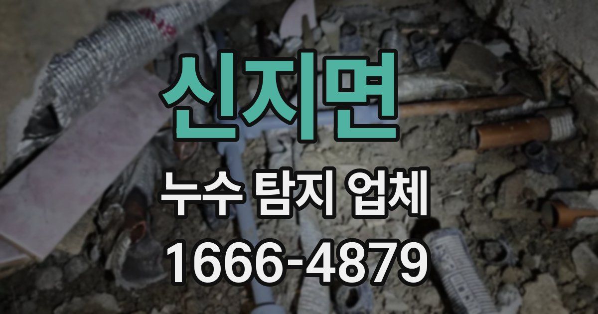 신지면 누수 탐지 업체