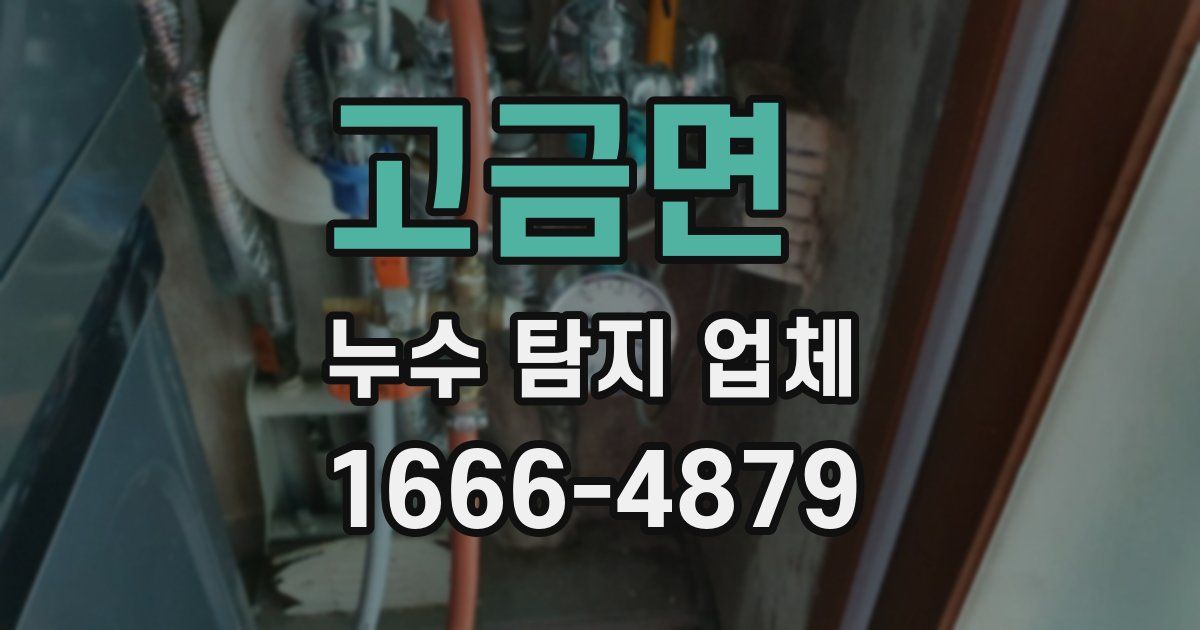 고금면 누수 탐지 업체