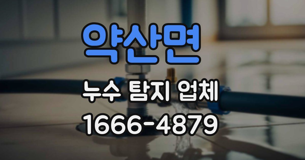 약산면 누수 탐지 업체