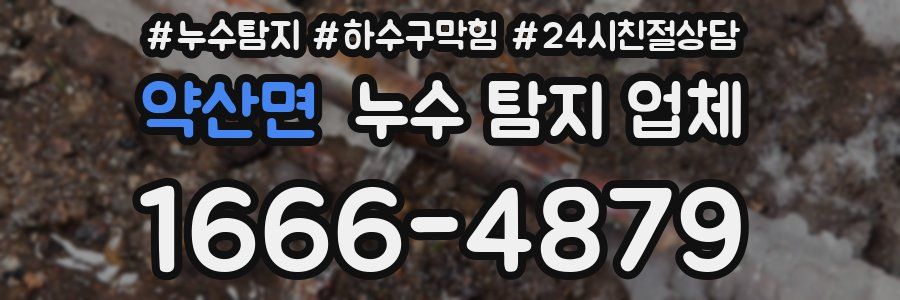 약산면 누수 탐지 업체