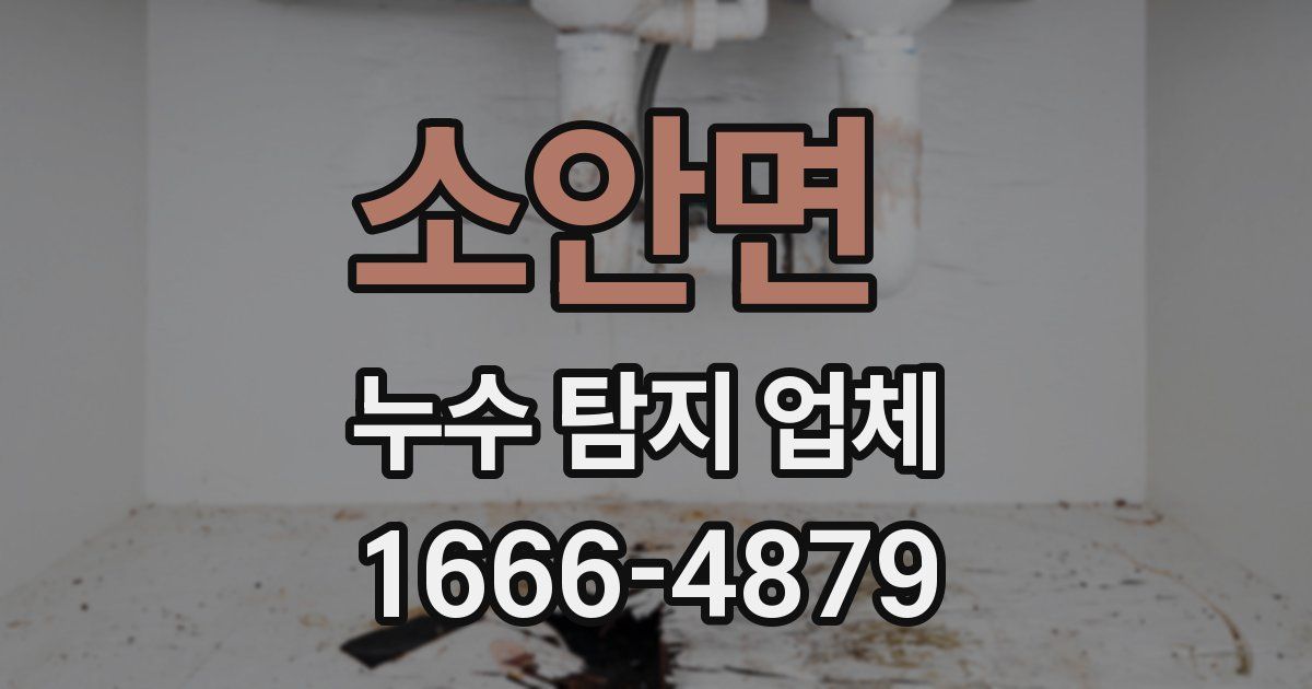 소안면 누수 탐지 업체