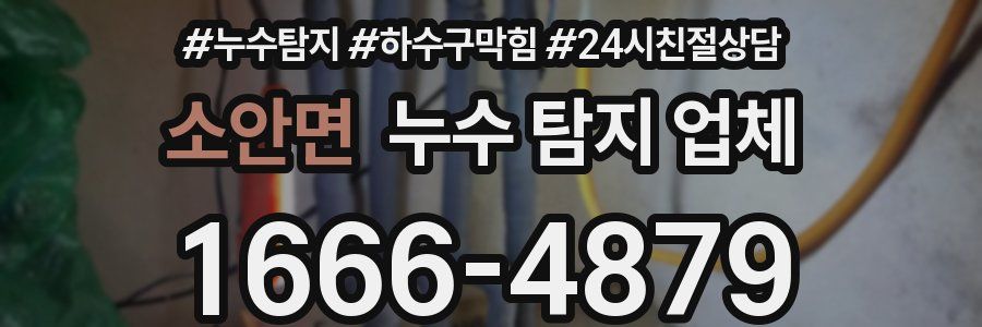 소안면 누수 탐지 업체