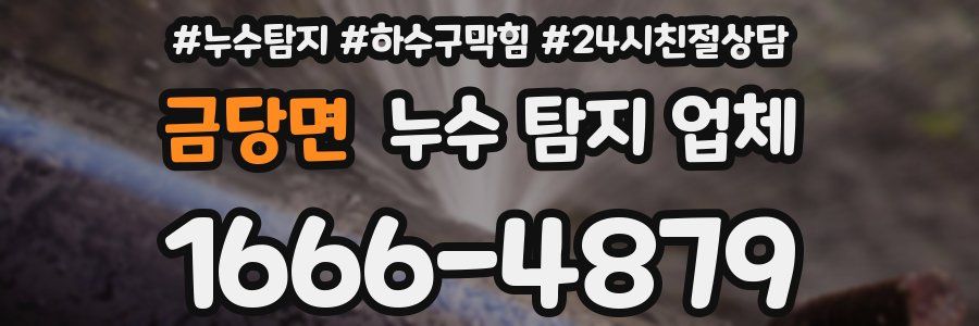 금당면 누수 탐지 업체