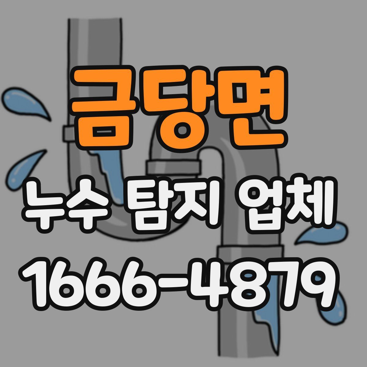 금당면 누수 탐지 업체
