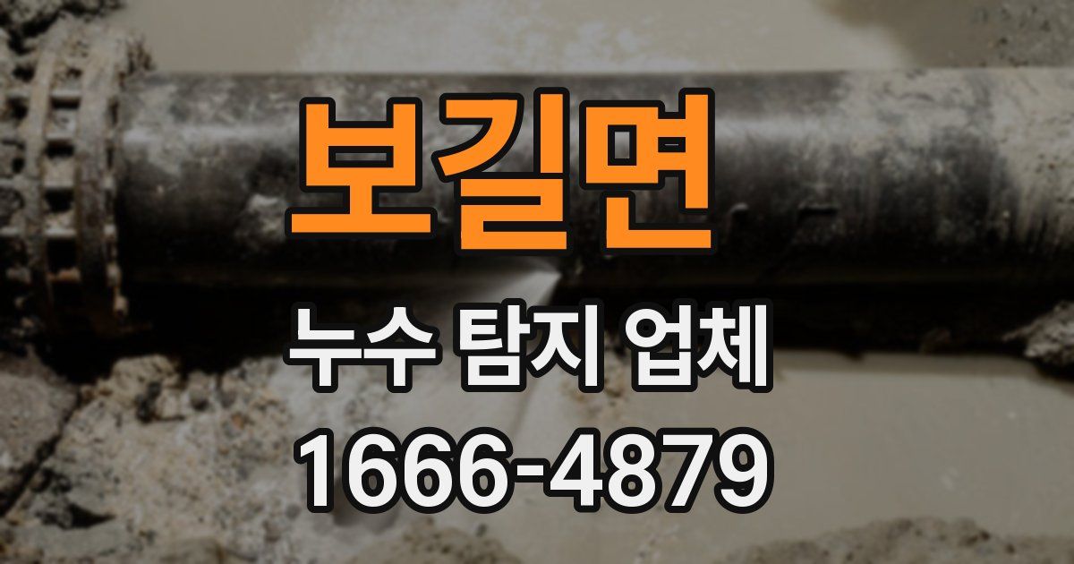 보길면 누수 탐지 업체