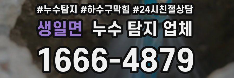 생일면 누수 탐지 업체