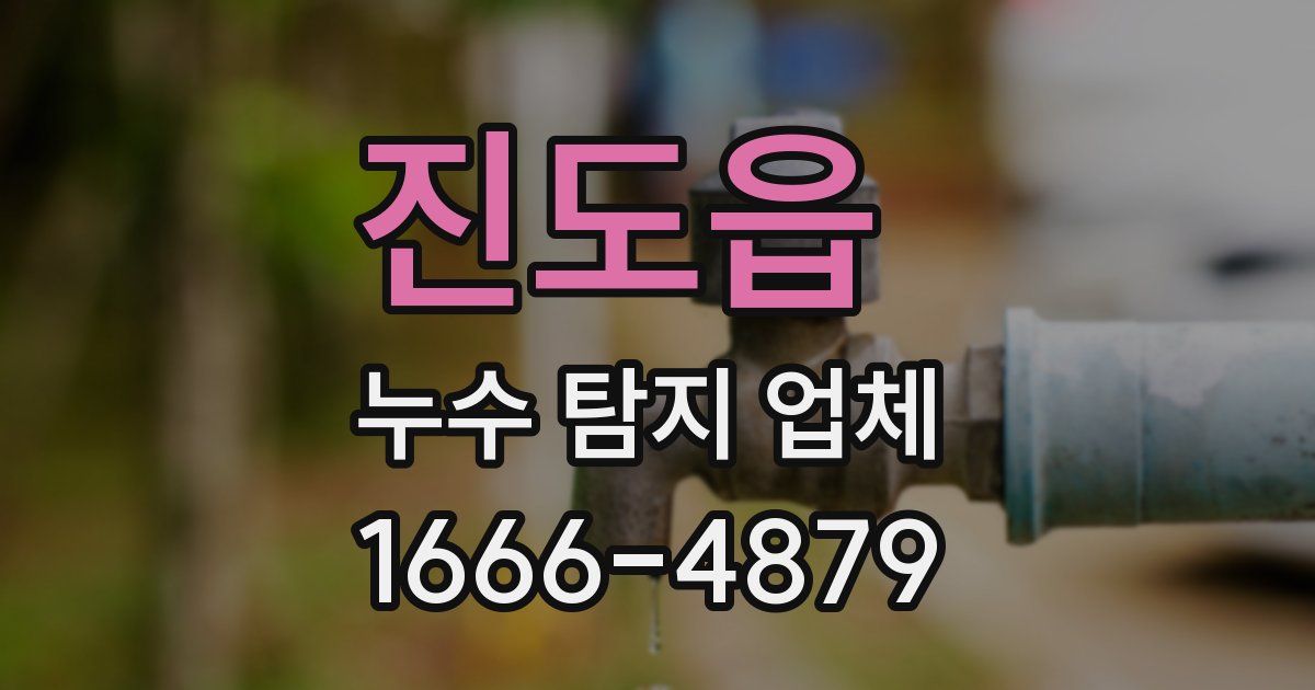 진도읍 누수 탐지 업체
