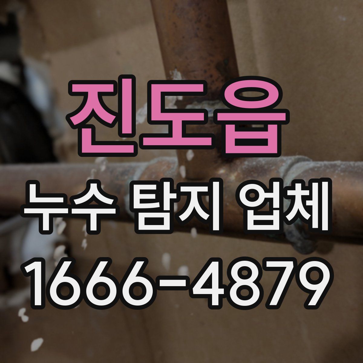 진도읍 누수 탐지 업체