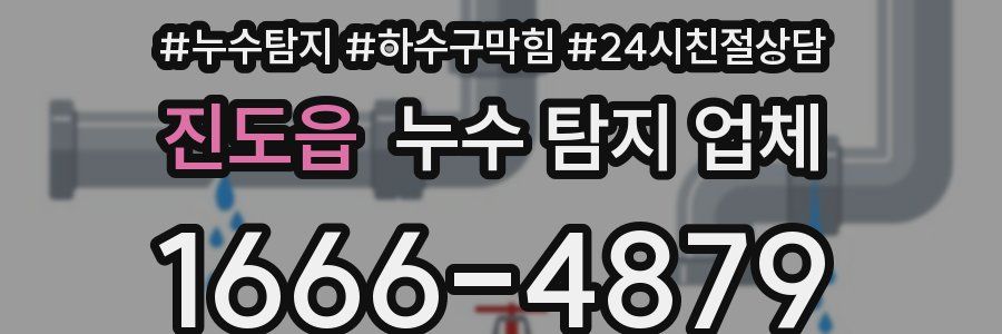 진도읍 누수 탐지 업체