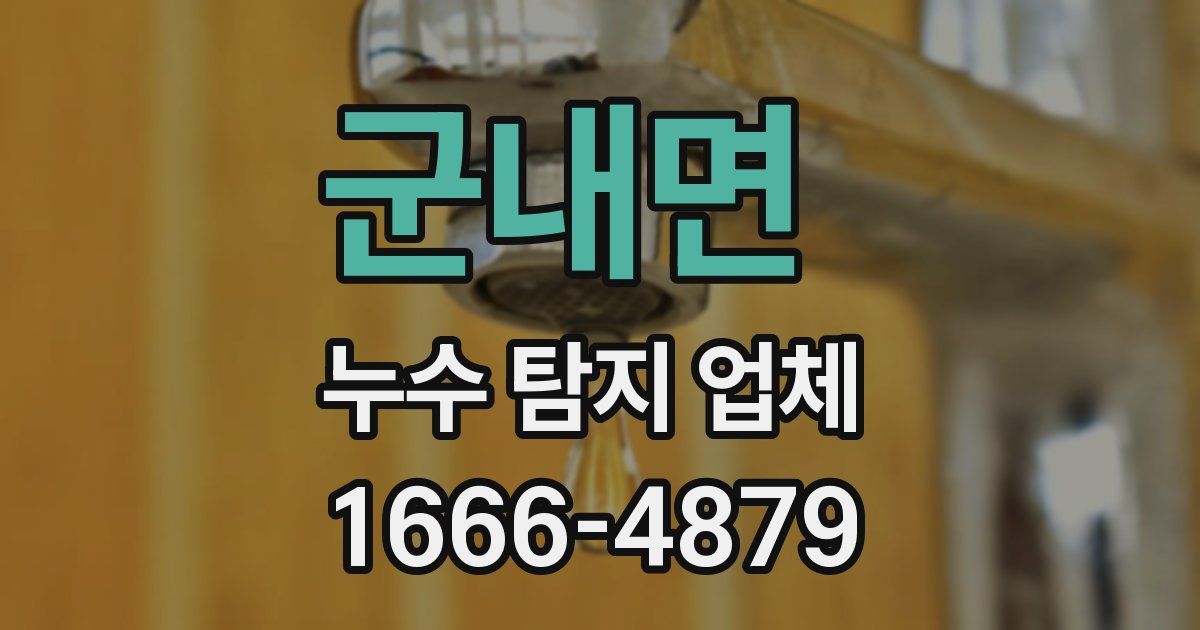 군내면 누수 탐지 업체