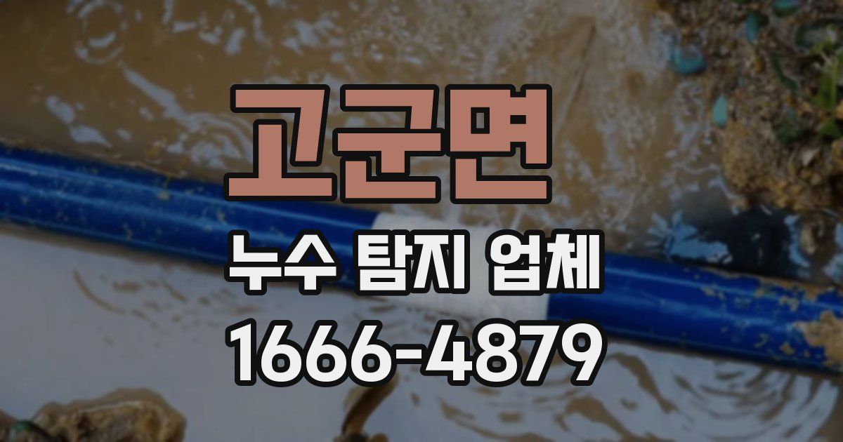 고군면 누수 탐지 업체