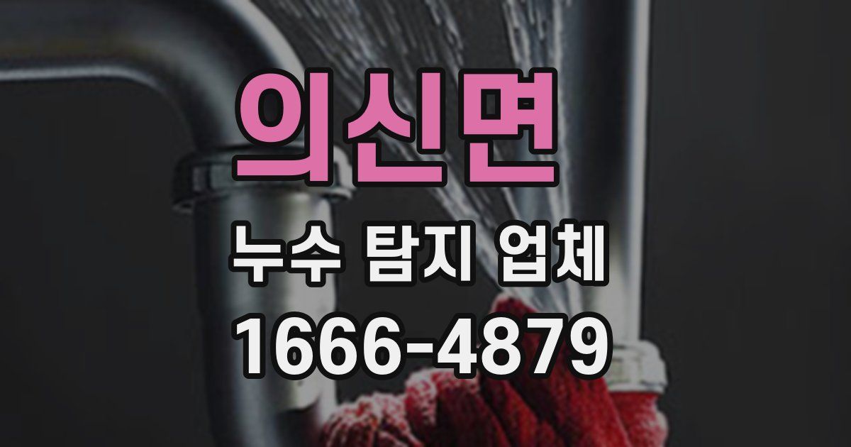 의신면 누수 탐지 업체