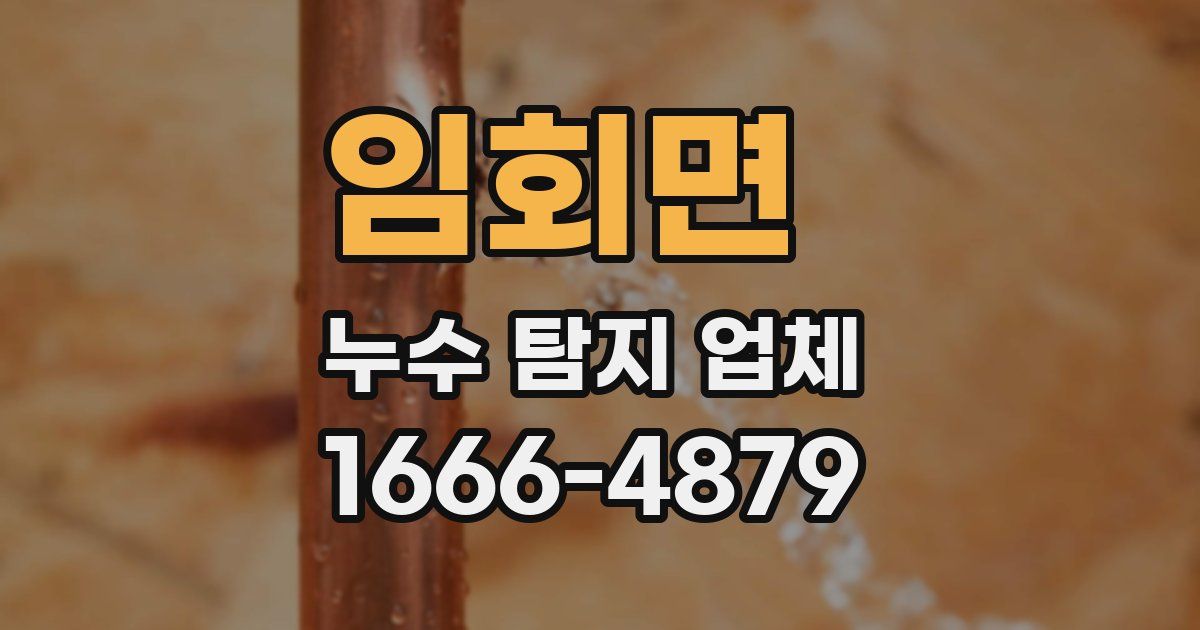 임회면 누수 탐지 업체