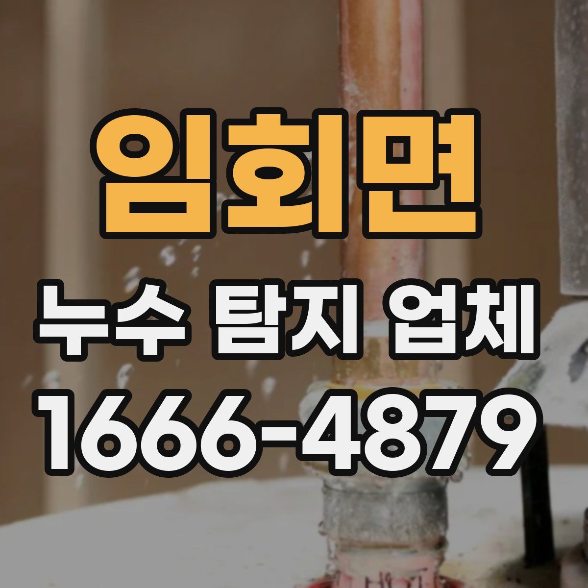 임회면 누수 탐지 업체