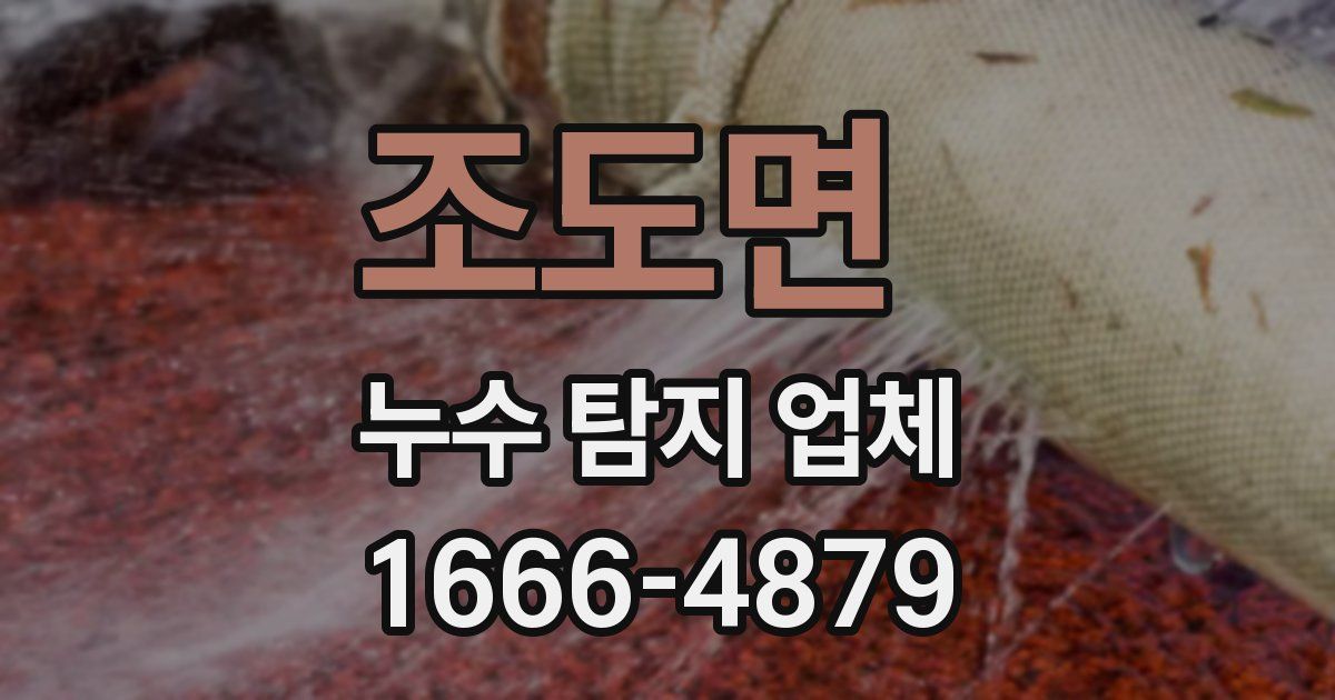 조도면 누수 탐지 업체