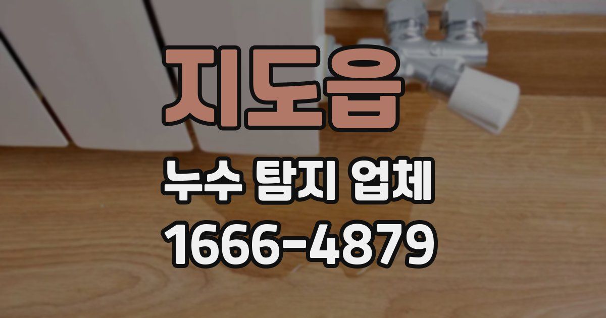 지도읍 누수 탐지 업체
