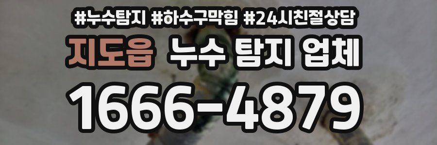 지도읍 누수 탐지 업체