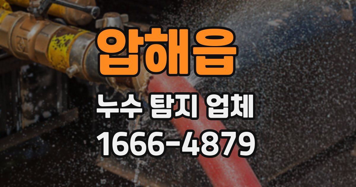 압해읍 누수 탐지 업체