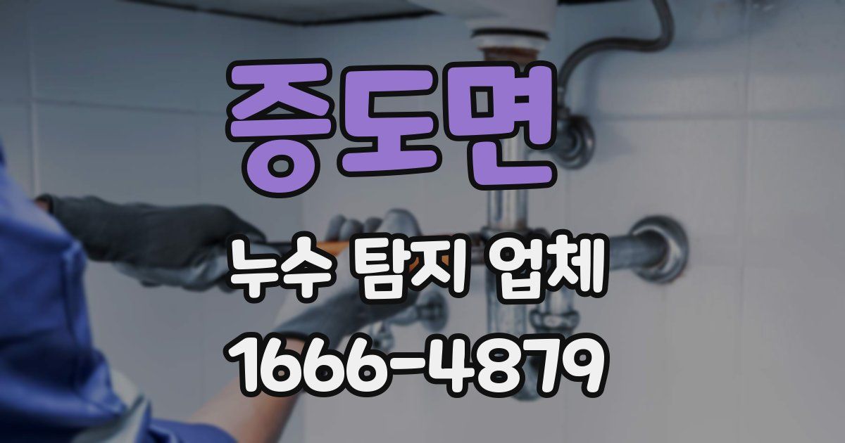 증도면 누수 탐지 업체