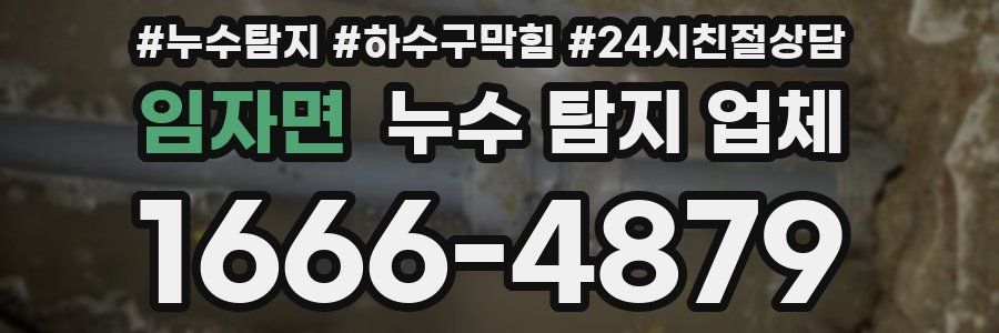 임자면 누수 탐지 업체