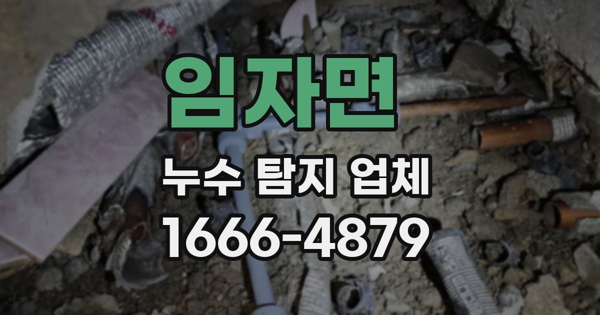 임자면 누수 탐지 업체