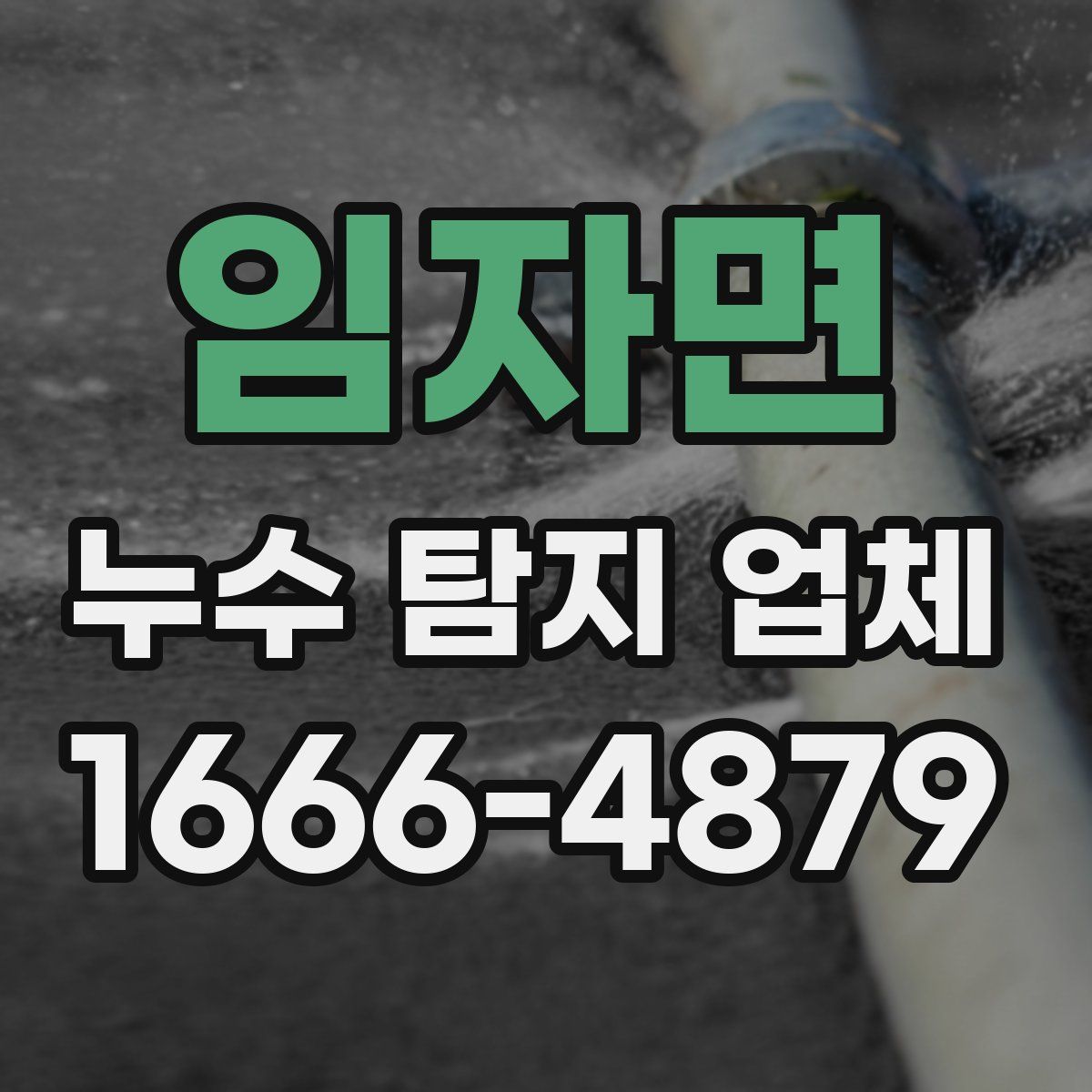 임자면 누수 탐지 업체