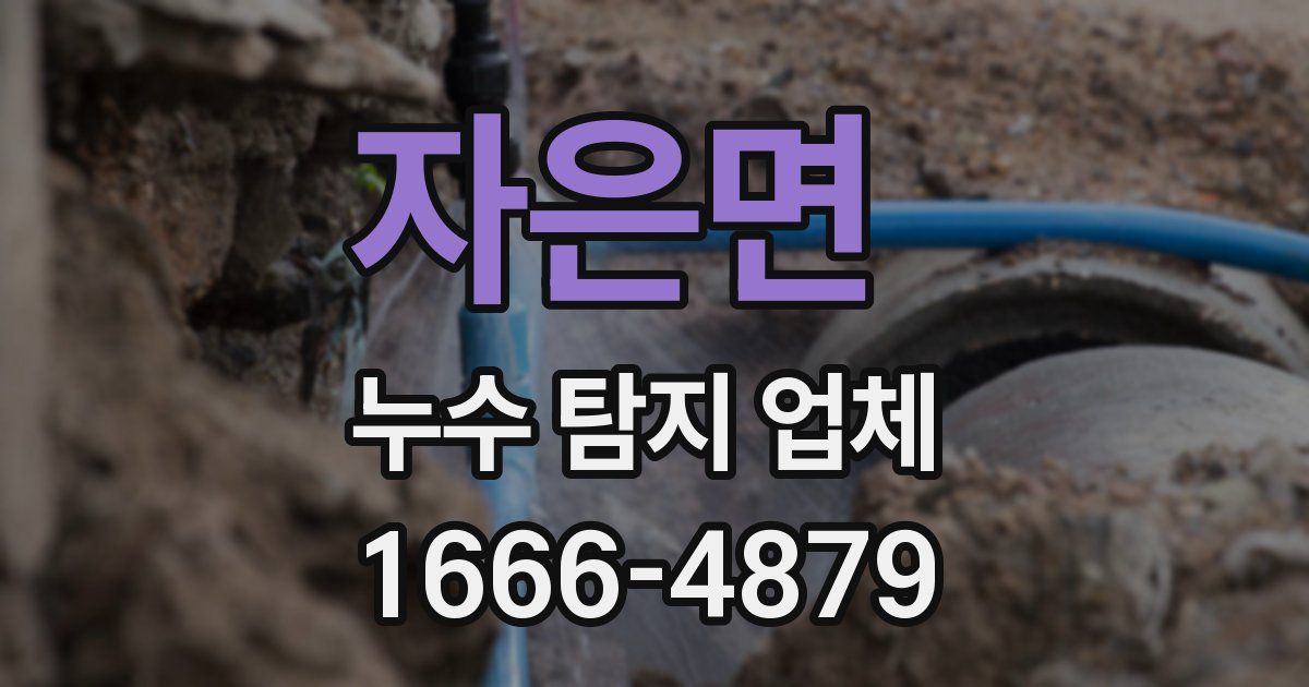 자은면 누수 탐지 업체