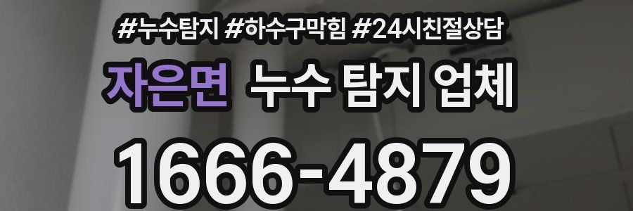자은면 누수 탐지 업체