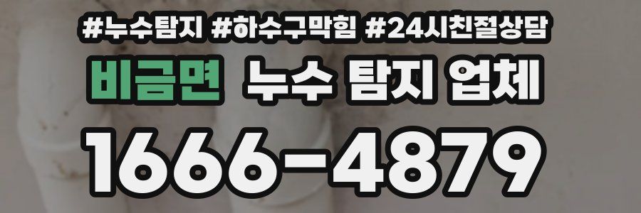 비금면 누수 탐지 업체