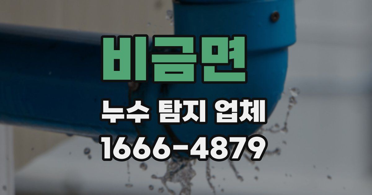비금면 누수 탐지 업체