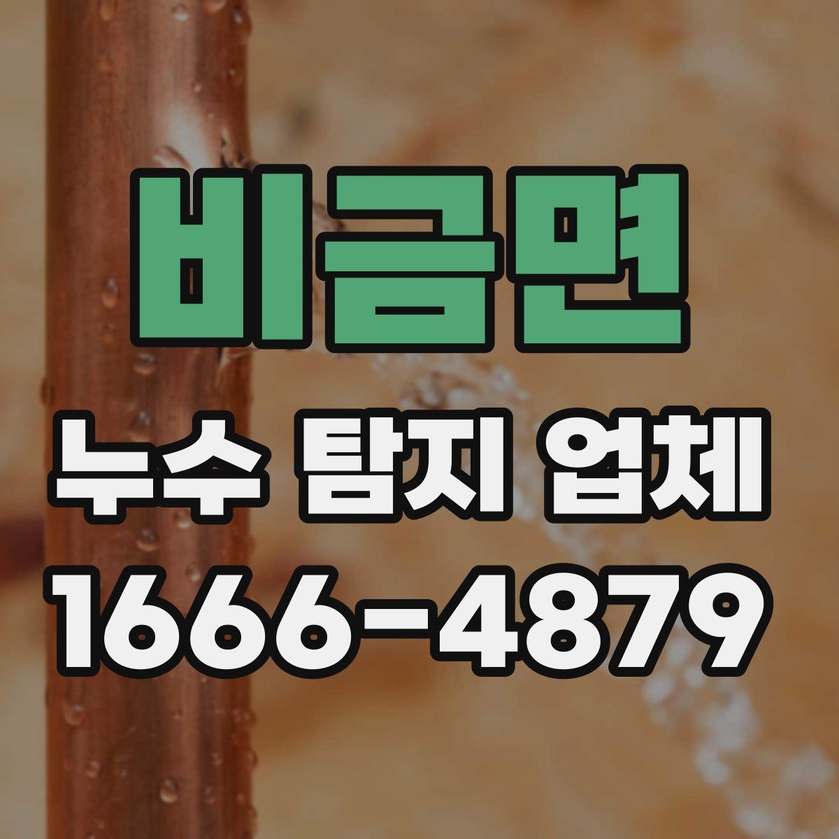 비금면 누수 탐지 업체