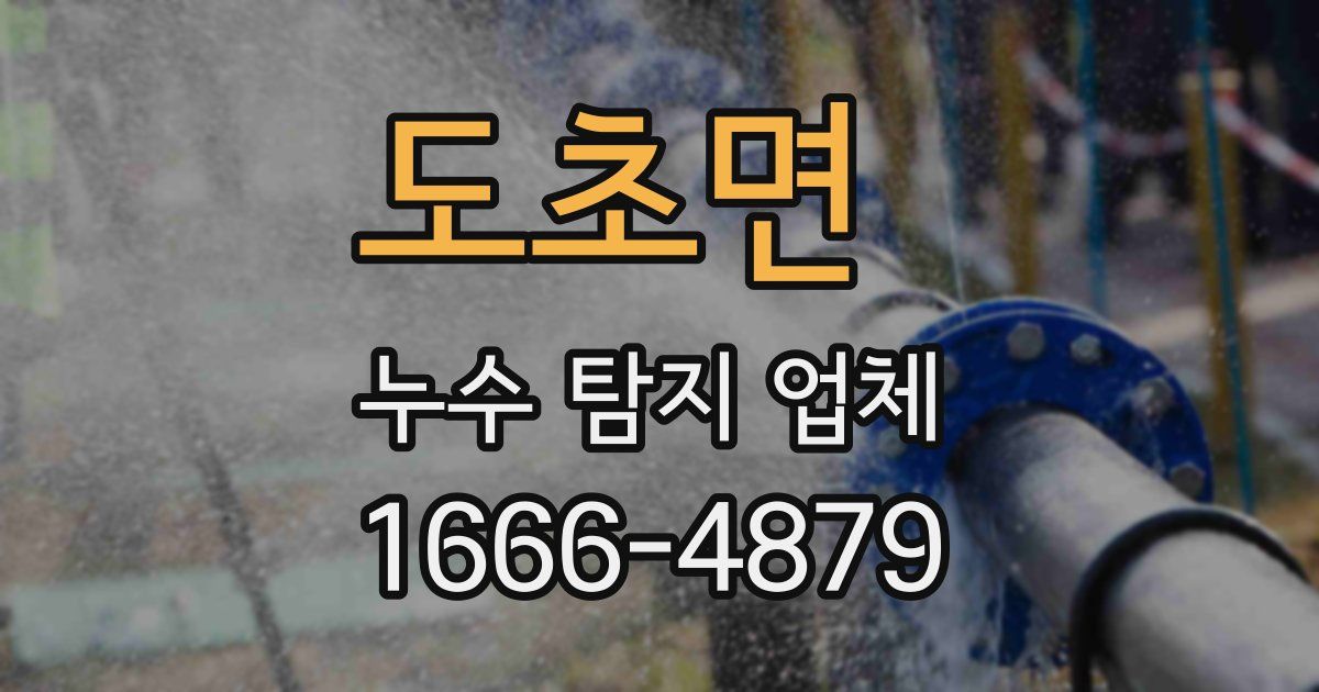 도초면 누수 탐지 업체