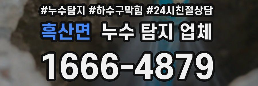 흑산면 누수 탐지 업체