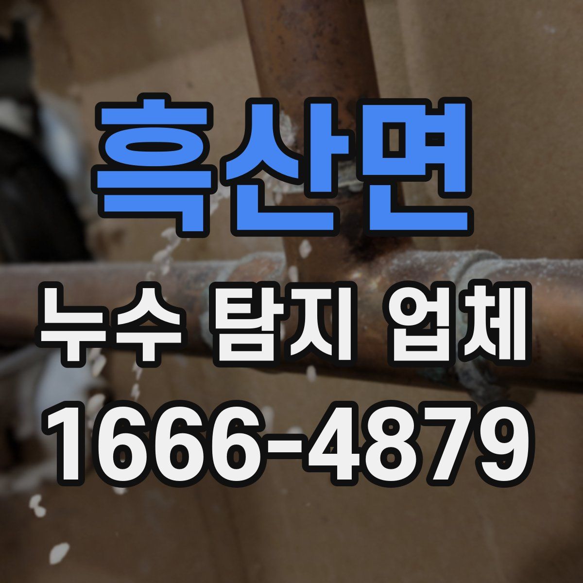 흑산면 누수 탐지 업체