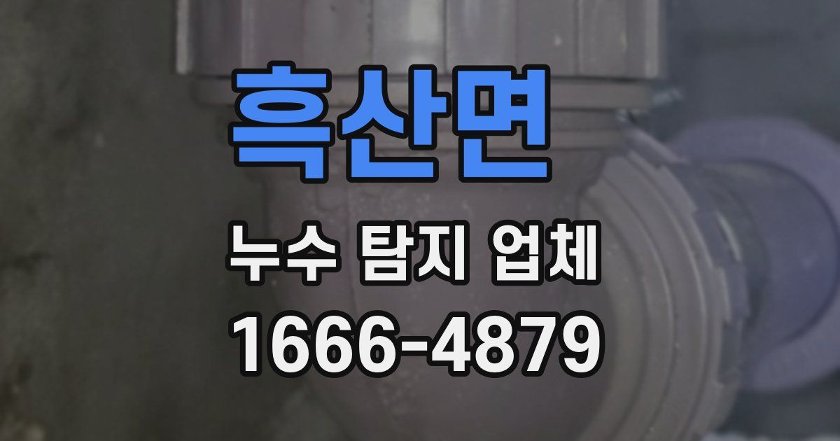 흑산면 누수 탐지 업체