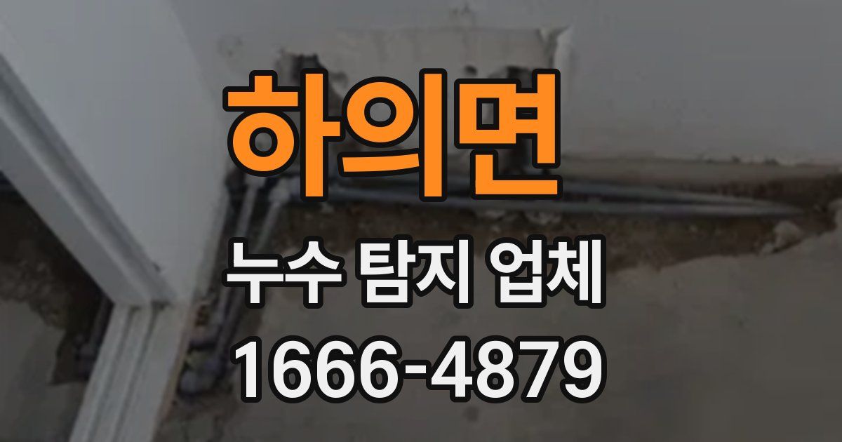 하의면 누수 탐지 업체