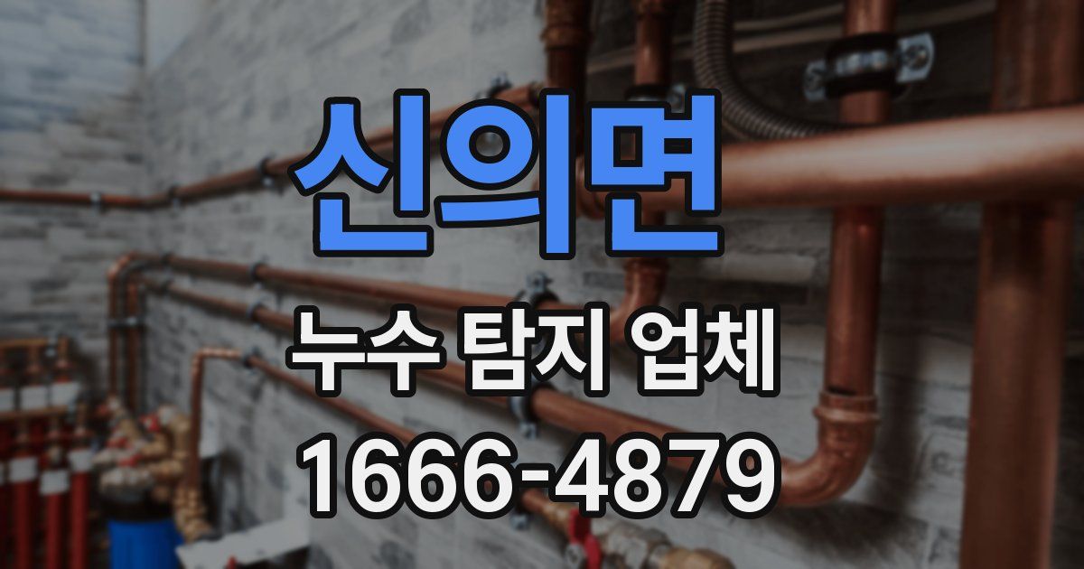 신의면 누수 탐지 업체