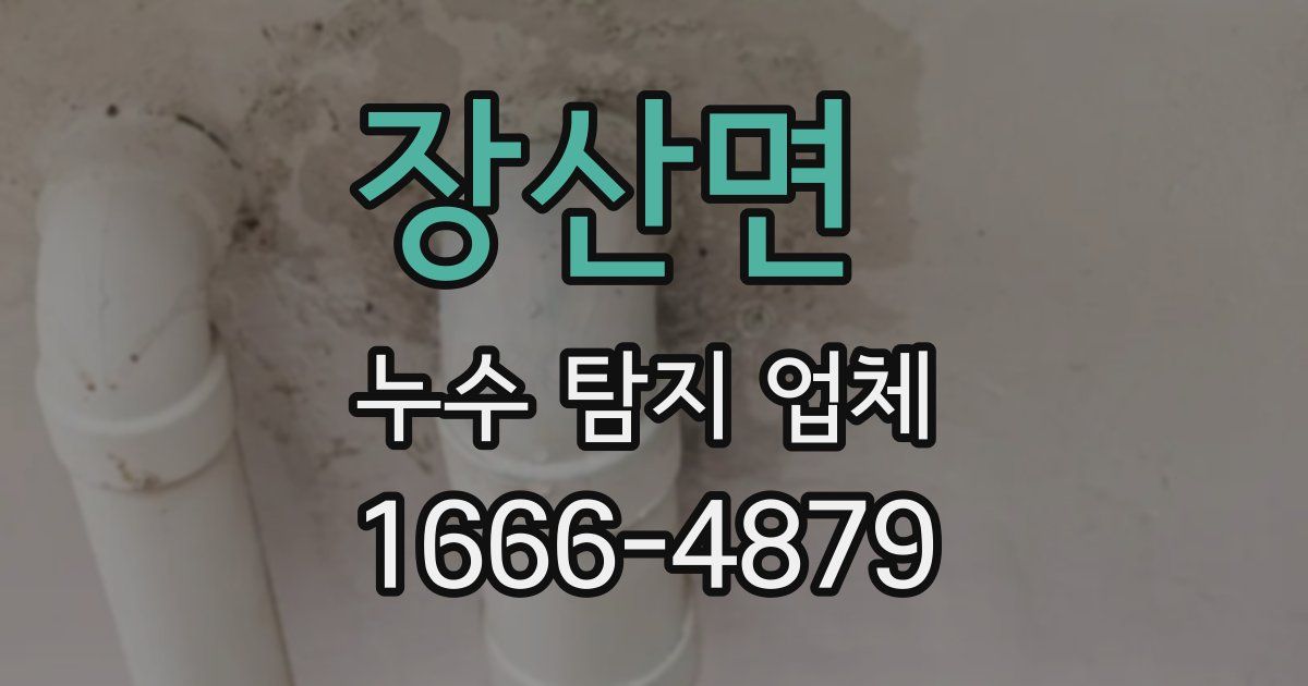 장산면 누수 탐지 업체