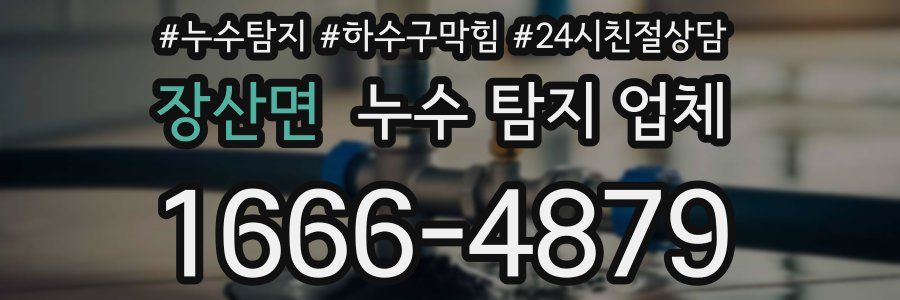 장산면 누수 탐지 업체