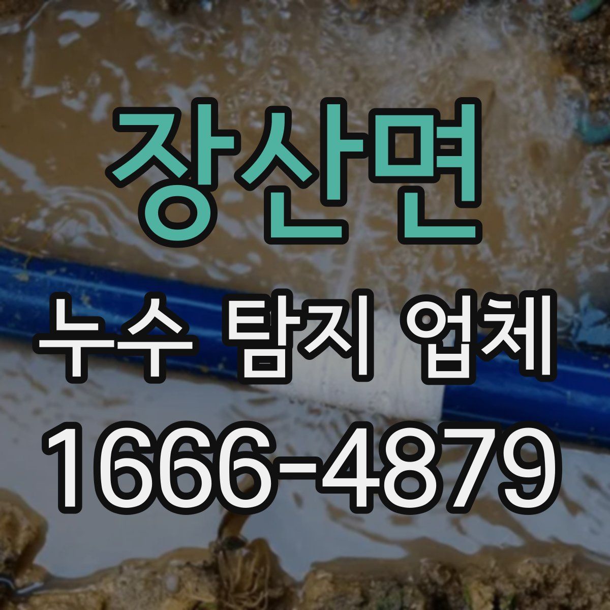 장산면 누수 탐지 업체