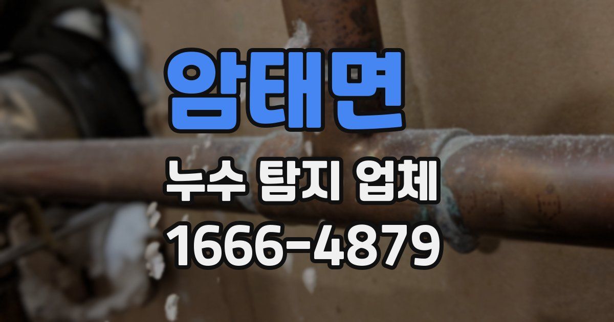 암태면 누수 탐지 업체