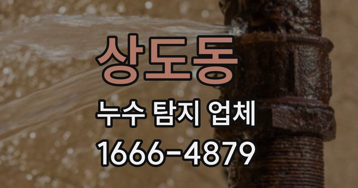 상도동 누수 탐지 업체