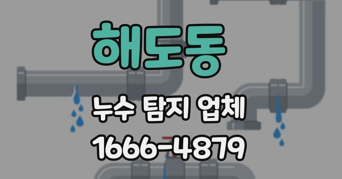 해도동 누수 탐지 업체