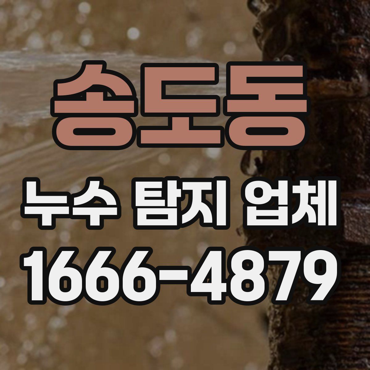 송도동 누수 탐지 업체