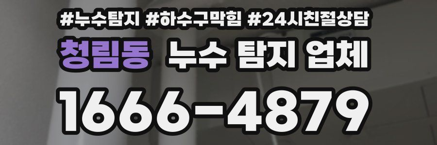 청림동 누수 탐지 업체