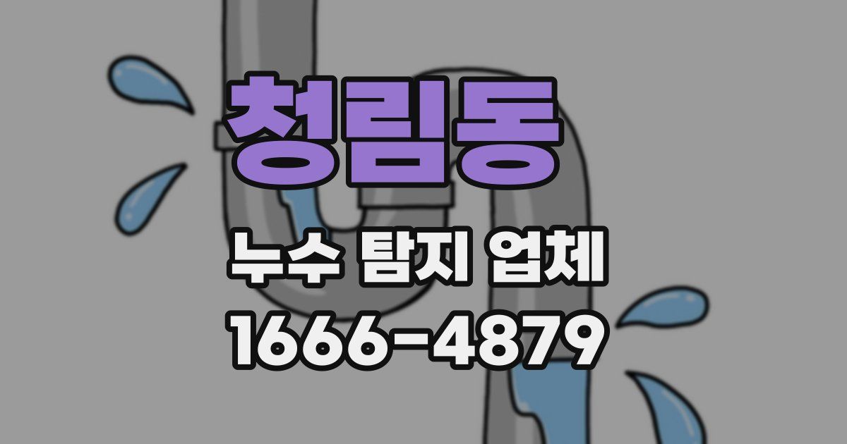 청림동 누수 탐지 업체