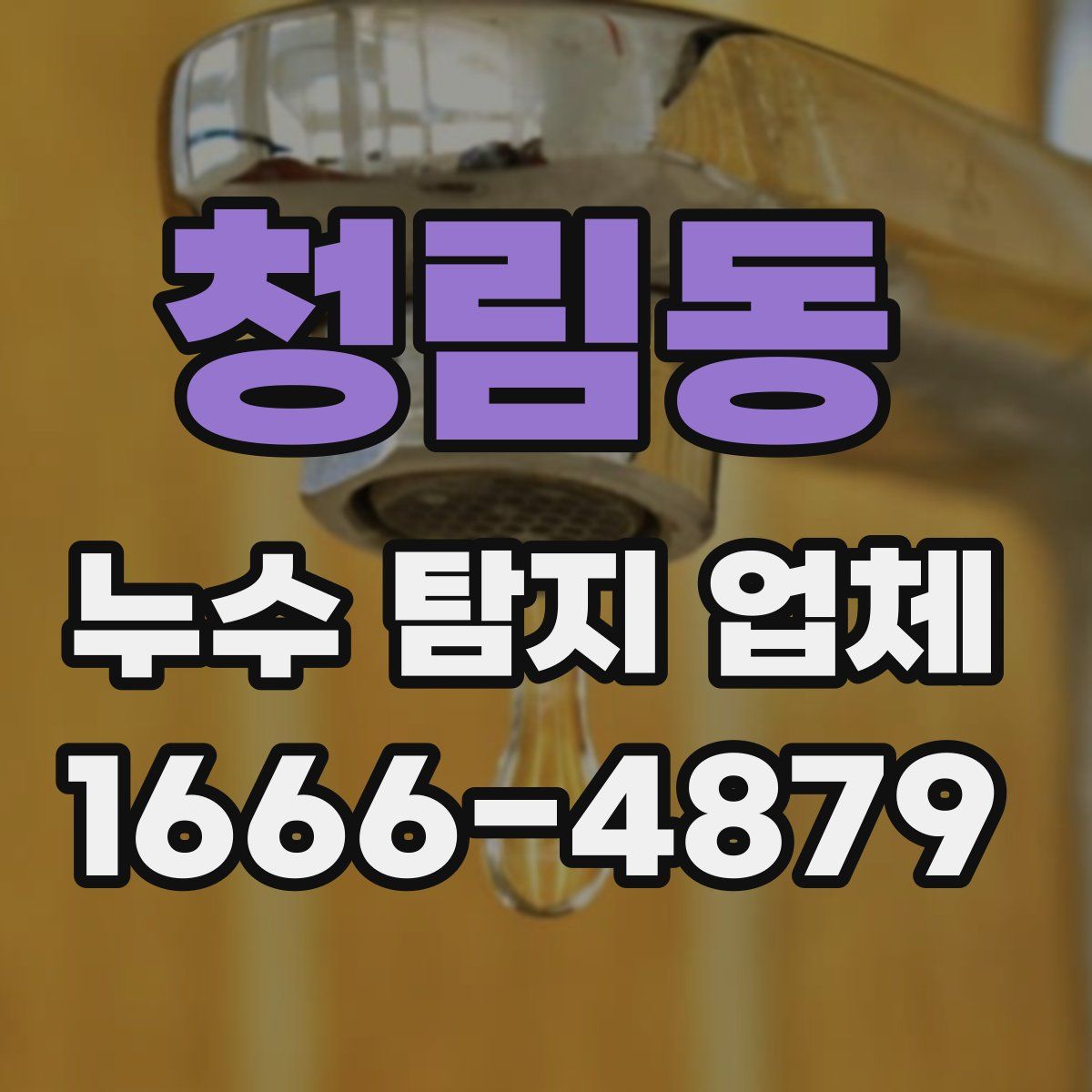 청림동 누수 탐지 업체