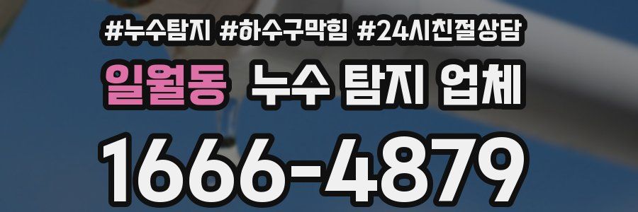 일월동 누수 탐지 업체