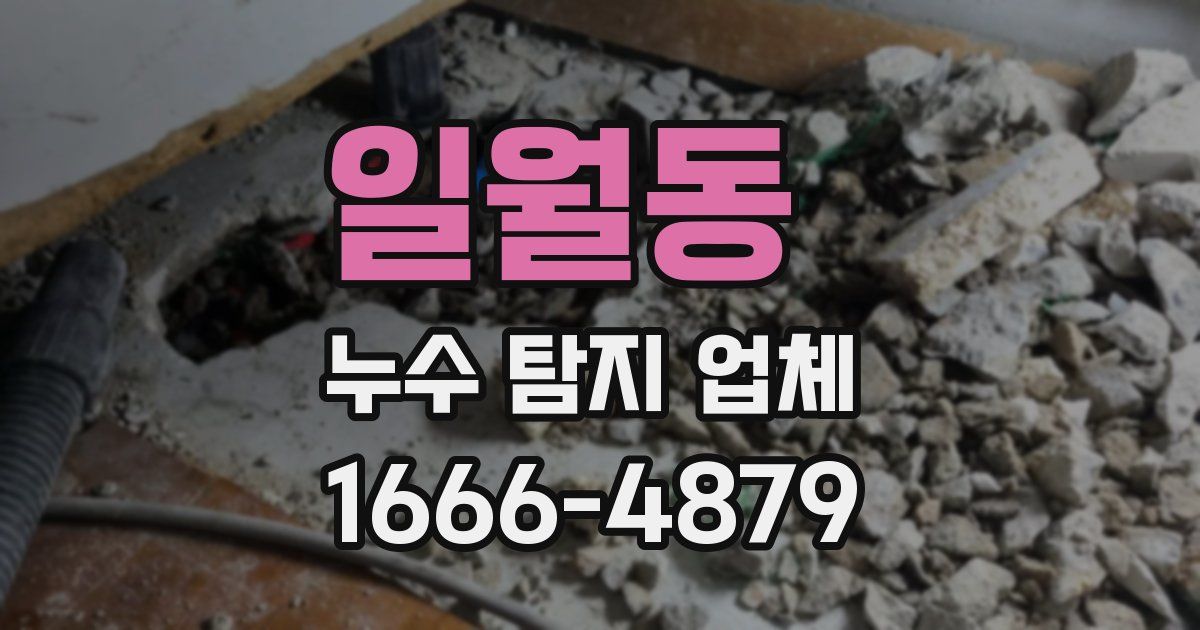 일월동 누수 탐지 업체