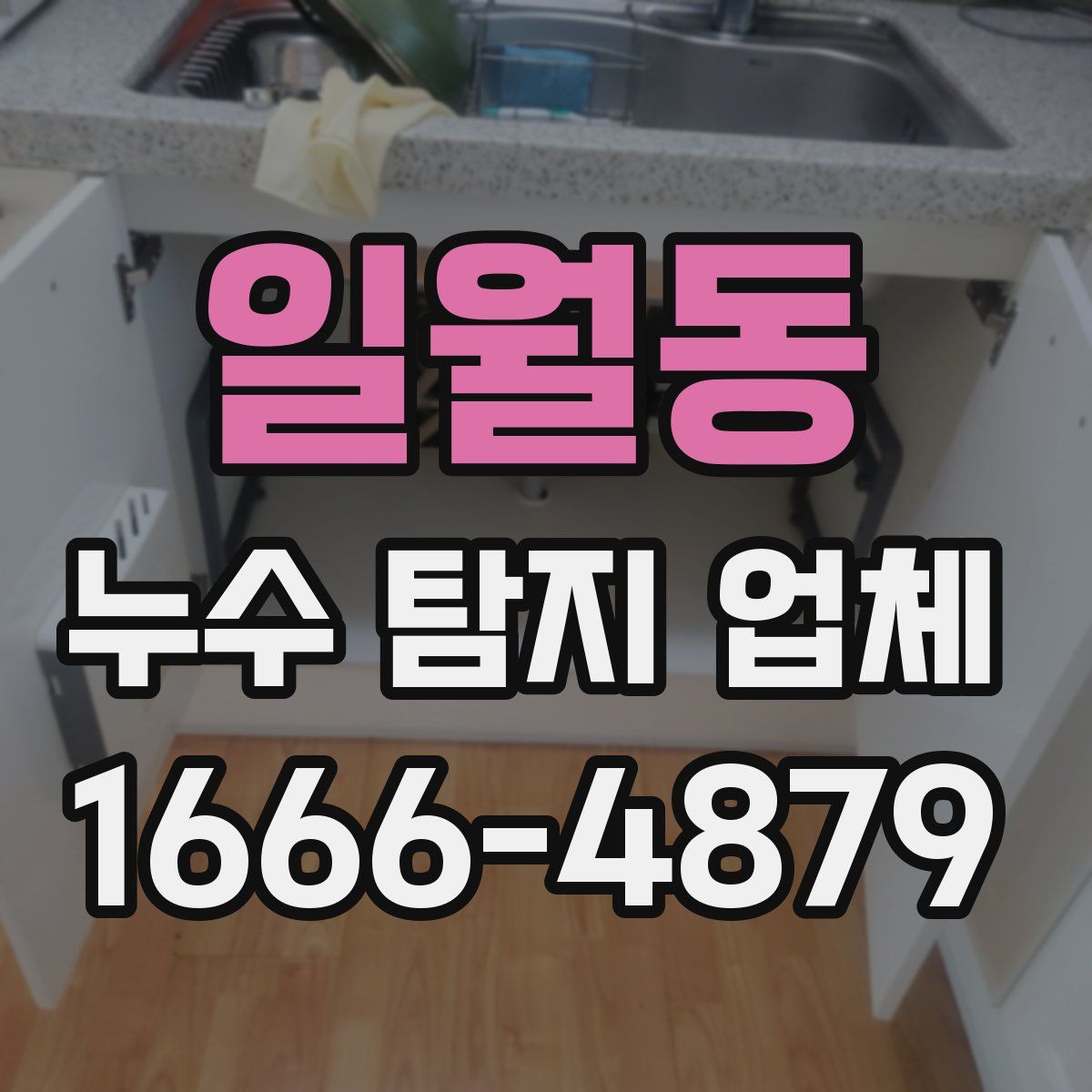 일월동 누수 탐지 업체